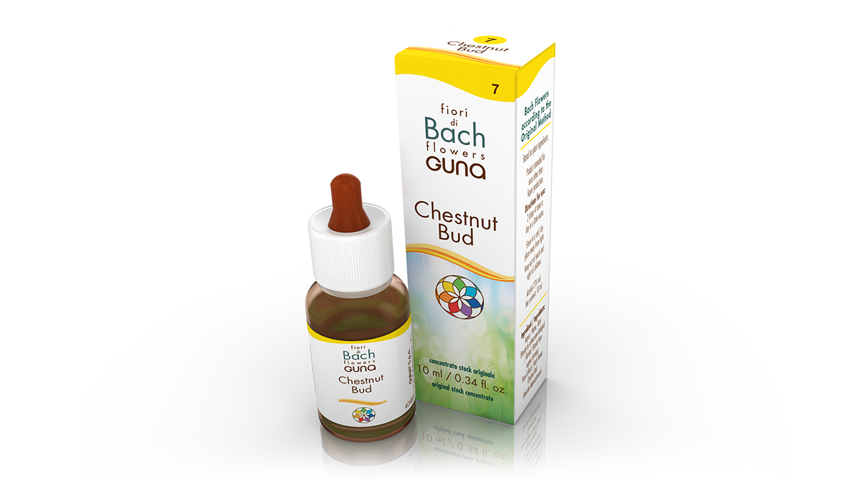 CHESTNUT BUD - Difficoltà ad apprendere dall'esperienza, ripetizione degli stessi errori