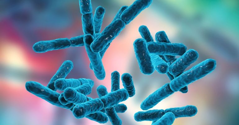 Fermenti lattici e diarrea: una guida ai migliori probiotici