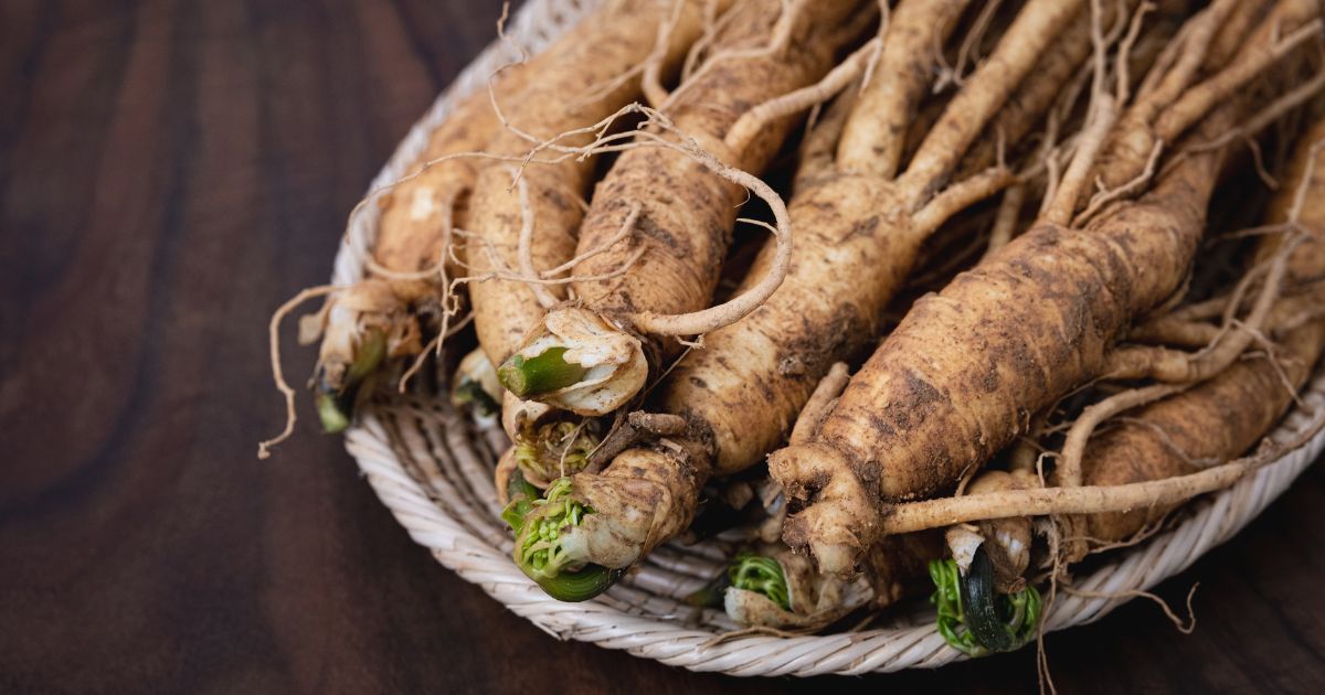 Ginseng, proprietà tonificanti naturali